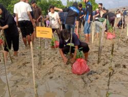 Dukung Rehabilitasi Alam, BTS-Army Kendari dan LDC FPIK-UHO Gelar Penanaman 900 Bibit Mangrove