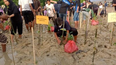 Dukung Rehabilitasi Alam, BTS-Army Kendari dan LDC FPIK-UHO Gelar Penanaman 900 Bibit Mangrove