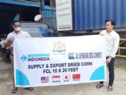 Perusahaan Binaan Kadin Sultra Ekspor Puluhan Ton Jagung