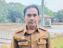 Produksi Cabe di Konawe Bisa Penuhi Kebutuhan di Seluruh Daerah di Sultra