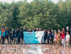 Sambut Hari Mangrove Sedunia, Mahasiswa KKN IAIN Kendari Tanam 1.000 Bibit