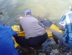Terungkap! Ini Identitas Mayat Perempuan yang Ditemukan Teluk Kendari