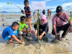 Ulfiah Apresiasi Penanaman 3.800 Mangrove di Kecamatan Soropia