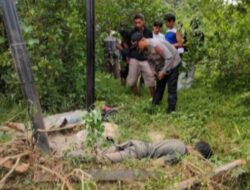 Kecelakaan Kerja, 2 Petugas Telkom di Konawe Tewas Tersengat Listrik