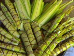 Makna Dibalik Lapa-lapa Makanan Khas Sulawesi Tenggara
