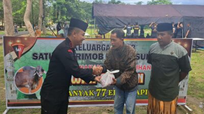 Idul Adha 1444 Hijriah, Brimob Polda Sultra Sembelih 82 Sapi Kurban