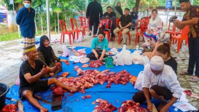 Idul Adha 1444 Hijriah, DPD Gerindra Sultra Kurban 5 Ekor Sapi