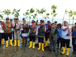 Mitigasi Bencana Tsunami, BPBD Bersama Pemda Sultra Tanam 7 Ribu Bibit Mangrove