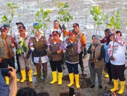 Ribuan Mangrove Ditanam di Pesisir Konawe, Pj. Bupati Apresiasi BNPB