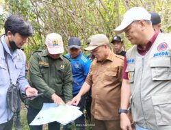 Bakal jadi Penghubung Proyek Strategi, Pj Bupati Konawe Kunjungi Pembangunan Jalan Latoma – Routa