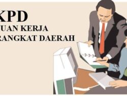 Disetujui Kemendagri dan Pj Gubernur Sultra, Empat SKPD Baru di Konawe Bakal Dibentuk