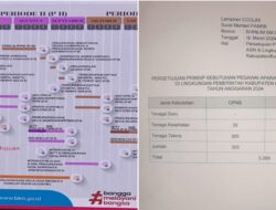 Pemkab Konawe Dapat Kuota 3000 CPNS dan P3K, Berikut Rinciannya