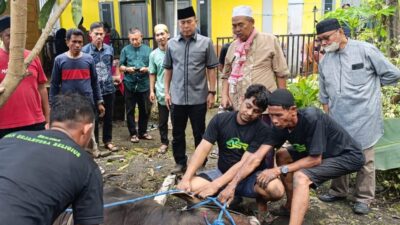 ASR Tebar Kebaikan di Idul Adha, Salurkan Hewan Kurban di Berbagai Wilayah di Sultra