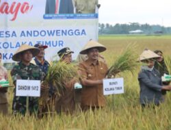 Pertama di Sultra, Bupati Koltim Luncurkan Program Listrik Masuk Sawah