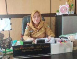 Dituding Terima Suap dari CV Britania Jaya Construktion, Ini Kata Kepala Dinkes Konut