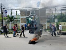 Kerugian Negara Rp 1,6 Triliun Direktur PT KKP Dituntut Rendah, Akar Sultra: Ada Apa?