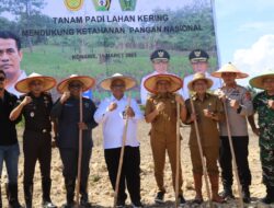 Manfaatkan Ruang Kosong, Bupati Konawe Ajak Masyarakat Tanam Padi Kering