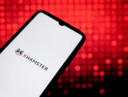 Get to Know About Xhamster vs Hamster (HMSTR): Understanding the Key Differences