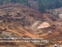 Hutan di Konawe Utara Terancam, PT Sumber Bumi Putra Diduga Langgar Izin IPPKH