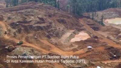 Hutan di Konawe Utara Terancam, PT Sumber Bumi Putra Diduga Langgar Izin IPPKH
