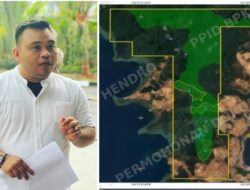 Ampuh Sultra Desak Satgas PKH Periksa Dirut PT BSJ, Diduga Rampas Hutan Lindung 78 Hektare
