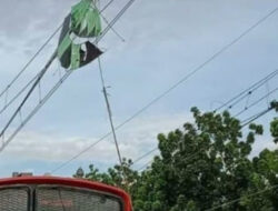 KAI Daop 1 Jakarta Imbau Masyarakat Tidak Bermain Layang-layang di Area Jalur Kereta