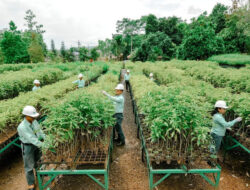MIND ID Kokohkan Fondasi ESG untuk Hilirisasi dan Masa Depan Berkelanjutan Indonesia
