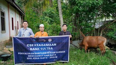 Bank Sultra Tebar Berkah Idul Adha, 23 Ekor Sapi Kurban Disalurkan ke Seluruh Sultra