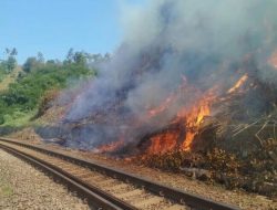 Musim Kemarau, KAI Daop 2 Bandung Himbau Tidak Bakar Sampah di Sekitar Rel