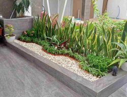Pagi Ceria Memperkuat Layanan Jasa Taman dan Kolam di Area Jabodetabek